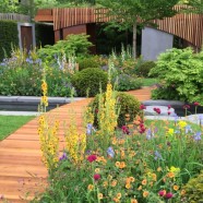 Chelsea Flower Show