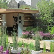 Chelsea Flower Show