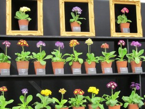 Chelsea Flower Show 2012