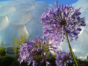 Eden Project