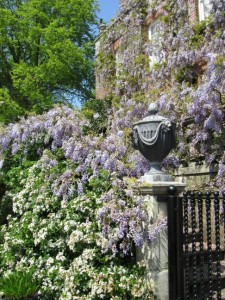 Pashley Manor Gardens