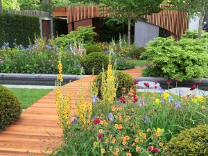 Chelsea Flower Show 2015