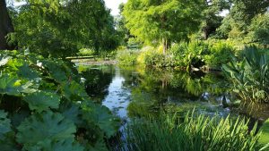 Beth Chattos Garden