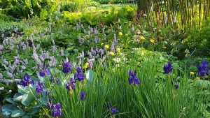 Beth Chattos Garden