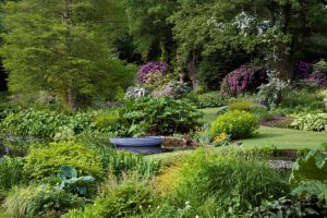 Beth Chattos Garden, Essex