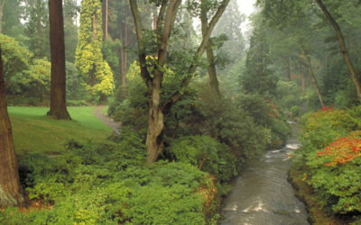 Bodnant Garden