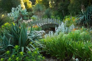 East Ruston Old Vicarage copyright Marcus Harpur