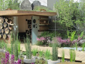 Chelsea Flower Show 2013