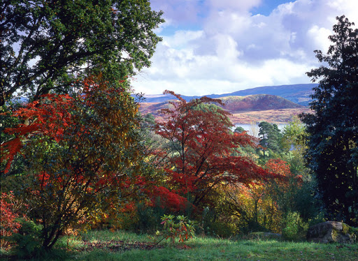 Crarae Glen Garden