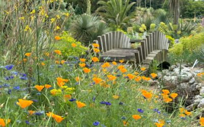 East Ruston Old Vicarage Gardens