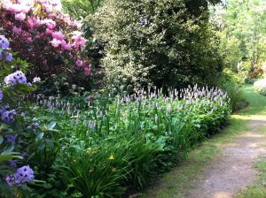 Great Comp Garden