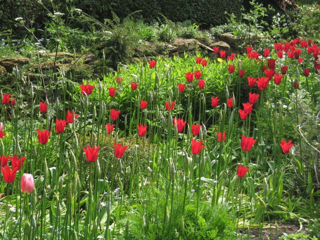 Great Dixter, East Sussex 