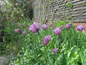 Great Dixter, East Sussex