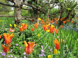 Great Dixter, East Sussex