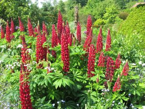 Great Dixter, East Sussex