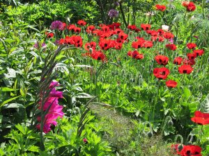 Great Dixter, East Sussex