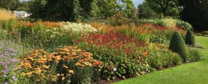 Harlow Carr