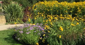 Harlow Carr