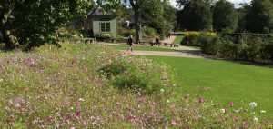 Harlow Carr