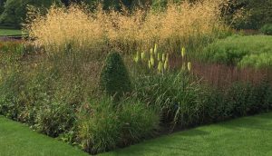 Harlow Carr