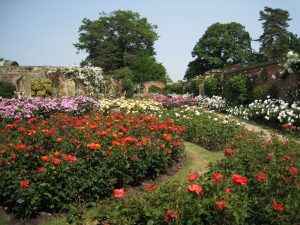Hever Castle