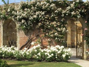 Hever Castle Kent