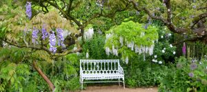 Hidcote Manor Gardens