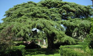 Hidcote Manor Gardens