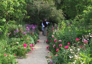 Hidcote Manor Gardens