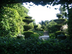 Les Jardins de Castillon Plantbessin