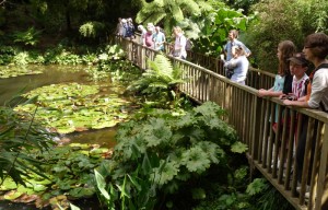 Lost Garden of Helligan