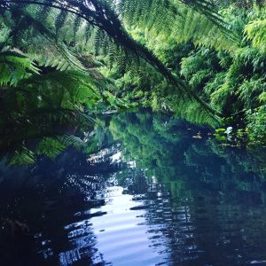 Lost Gardens of Heligan