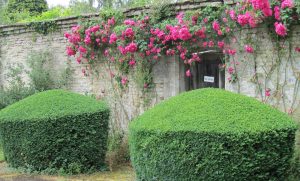 Rodmarton Manor