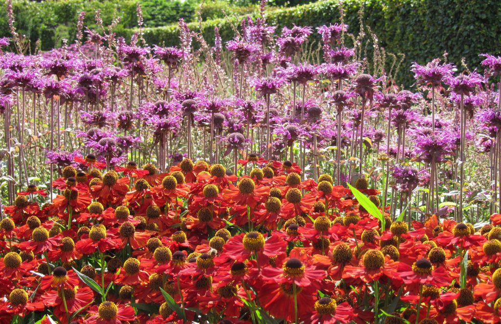 Scampston Walled Garden