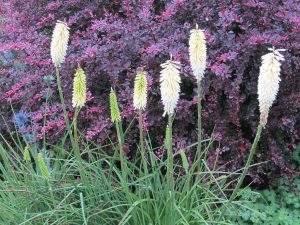 Sissinghurst Castle, Kent