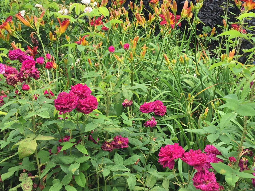 Sissinghurst Castle, Kent