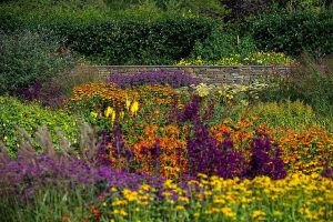 RHS Rosemoor