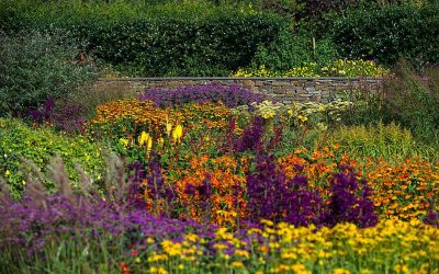 Rosemoor Garden