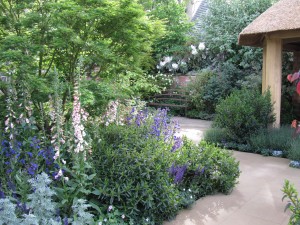 Chelsea Flower Show 2013