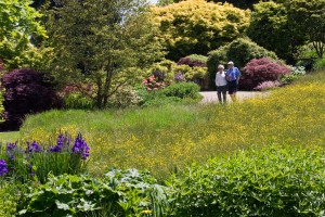 Visitors walking by the Alpine Meadow in spring at RHS Garden Wisley - copyright RHS