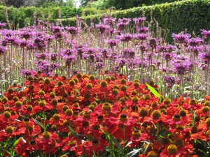 Scampston Walled Garden, North Yorkshire