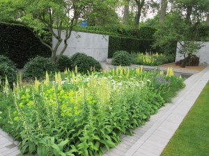 Chelsea Flower Show 2014