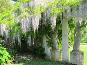 Godinton House & Gardens, Kent