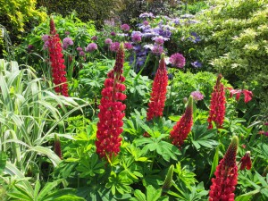 Great Dixter