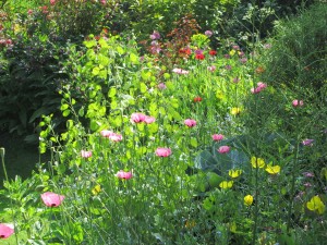 Great Dixter