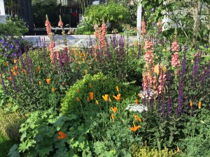 Chelsea Flower Show