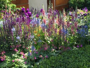 Chelsea Flower Show