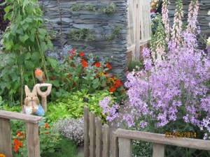 Peter Rabbit Garden at Chelsea Flower Show