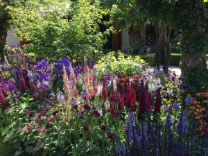 Chelsea Flower Show