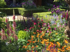 RHS Flower Show